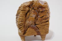 Image 1 of Sedimento #2