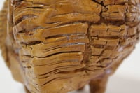 Image 2 of Sedimento #2