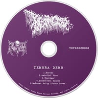 Image 2 of TEMORA – Demo 2025 CD