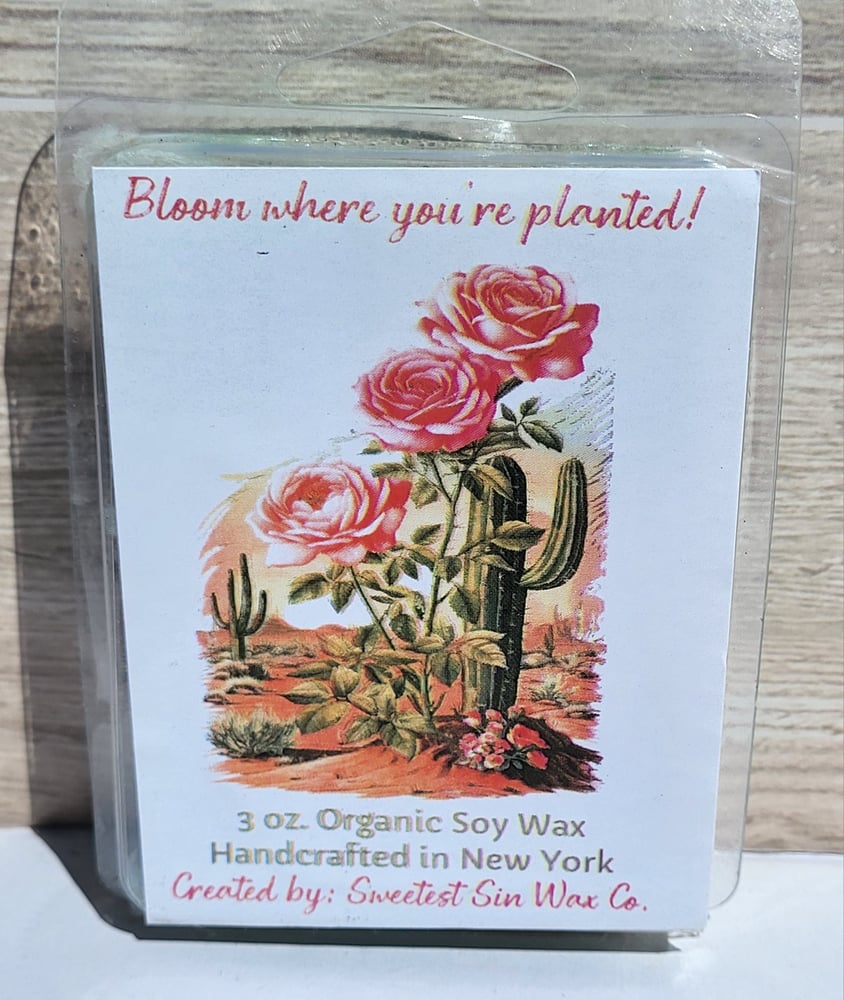 Image of Bloom where you're planted!