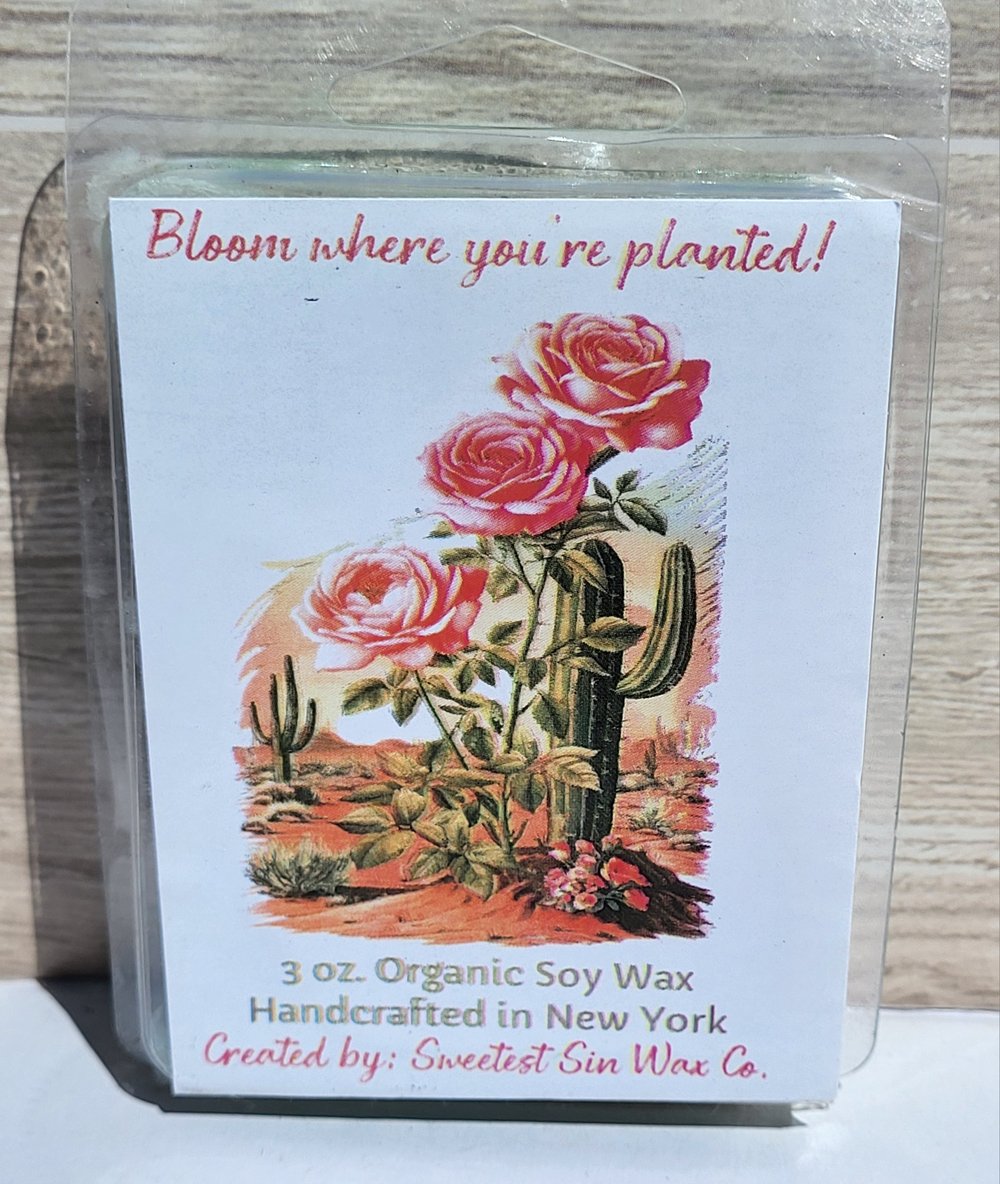 Image of Bloom where you're planted!