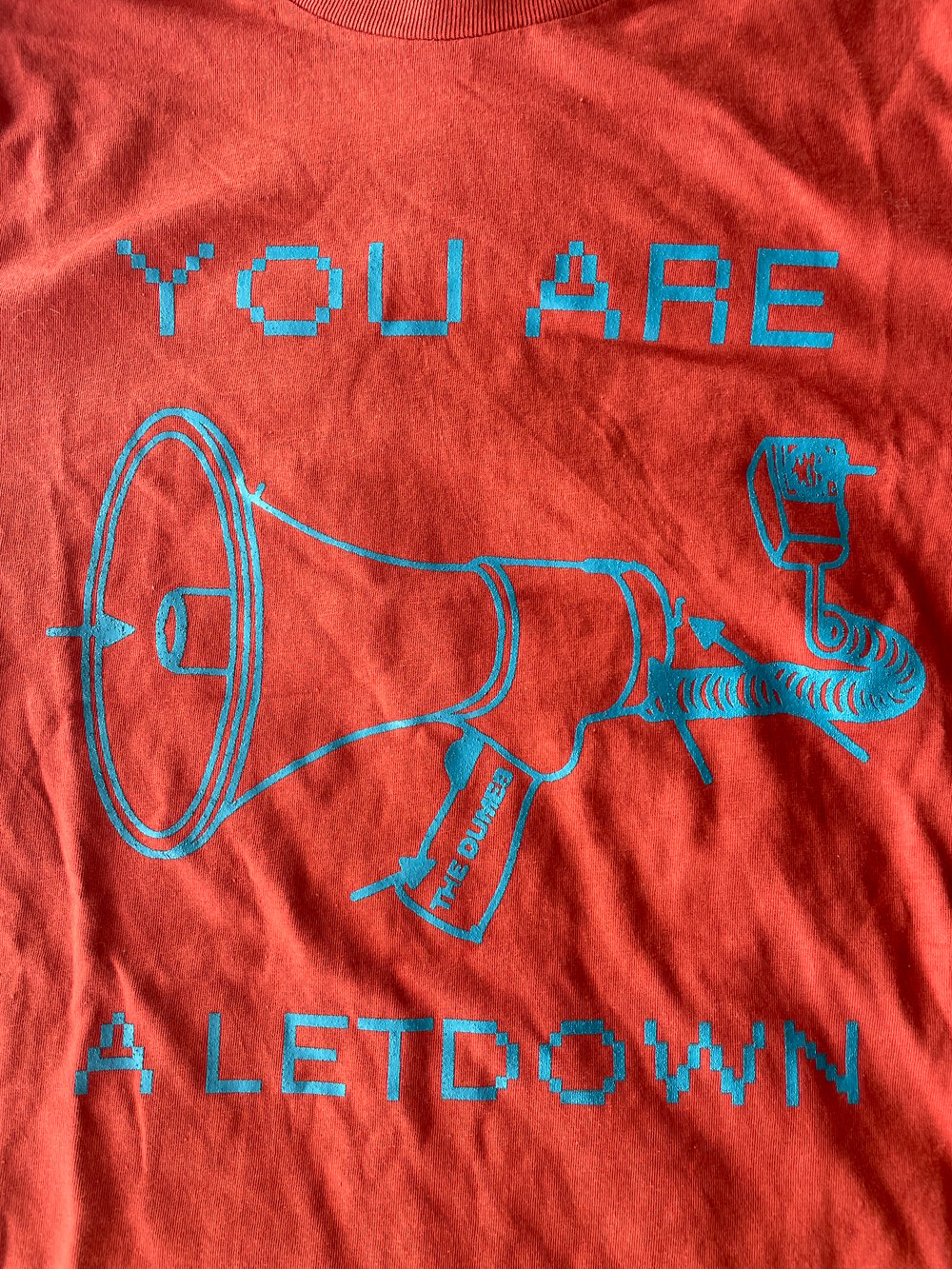 YOU ARE A LETDOWN - T Shirt