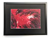 "Scarlet Bloom Current" | 40×30 cm Fine Art Canvas (Framed & Passepartout)