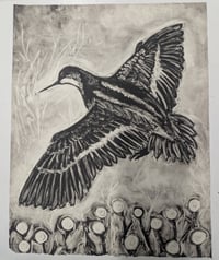 Image 2 of Red Necked Phalarope Framed Monotype