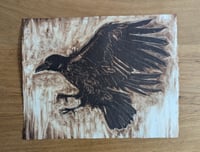 Image 2 of Rose Park Crow Framed Monotype
