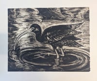 Image 2 of White Faced Ibis Framed Monotype