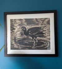 Image 1 of White Faced Ibis Framed Monotype