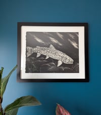 Image 1 of Rainbow Trout Framed Monotype