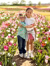 Image 1 of Tulip Farm At Kuipers