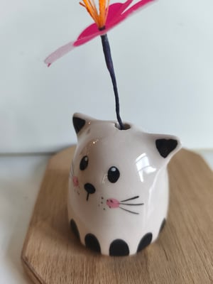 Image of  Soliflore chat  petit pont