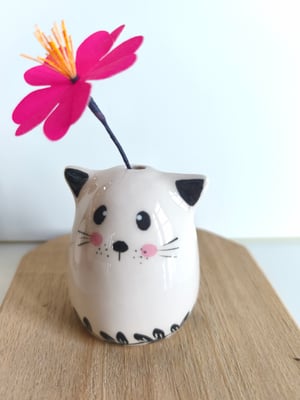 Image of  Soliflore chat  feuille 