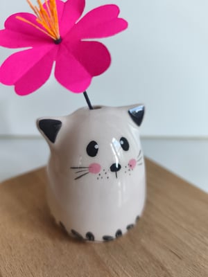 Image of  Soliflore chat  feuille 