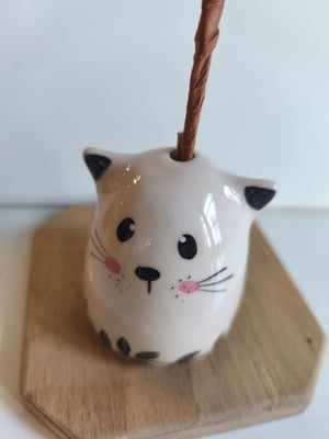 Image of Soliflore chat  feuille 1