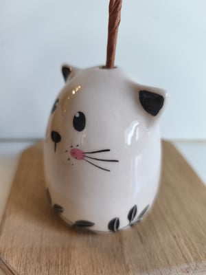 Image of Soliflore chat  feuille 1