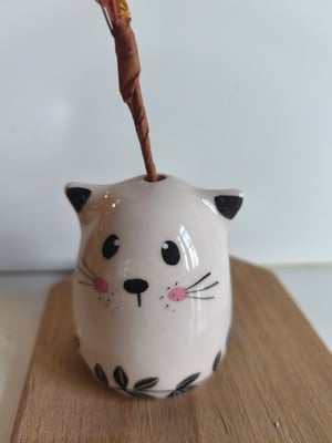 Image of Soliflore chat  feuille 1