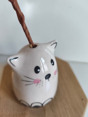 Image of Soliflore chat  petit pont1