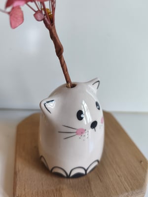 Image of Soliflore chat  petit pont1