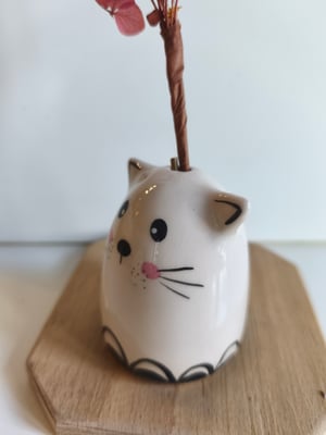 Image of Soliflore chat  petit pont1