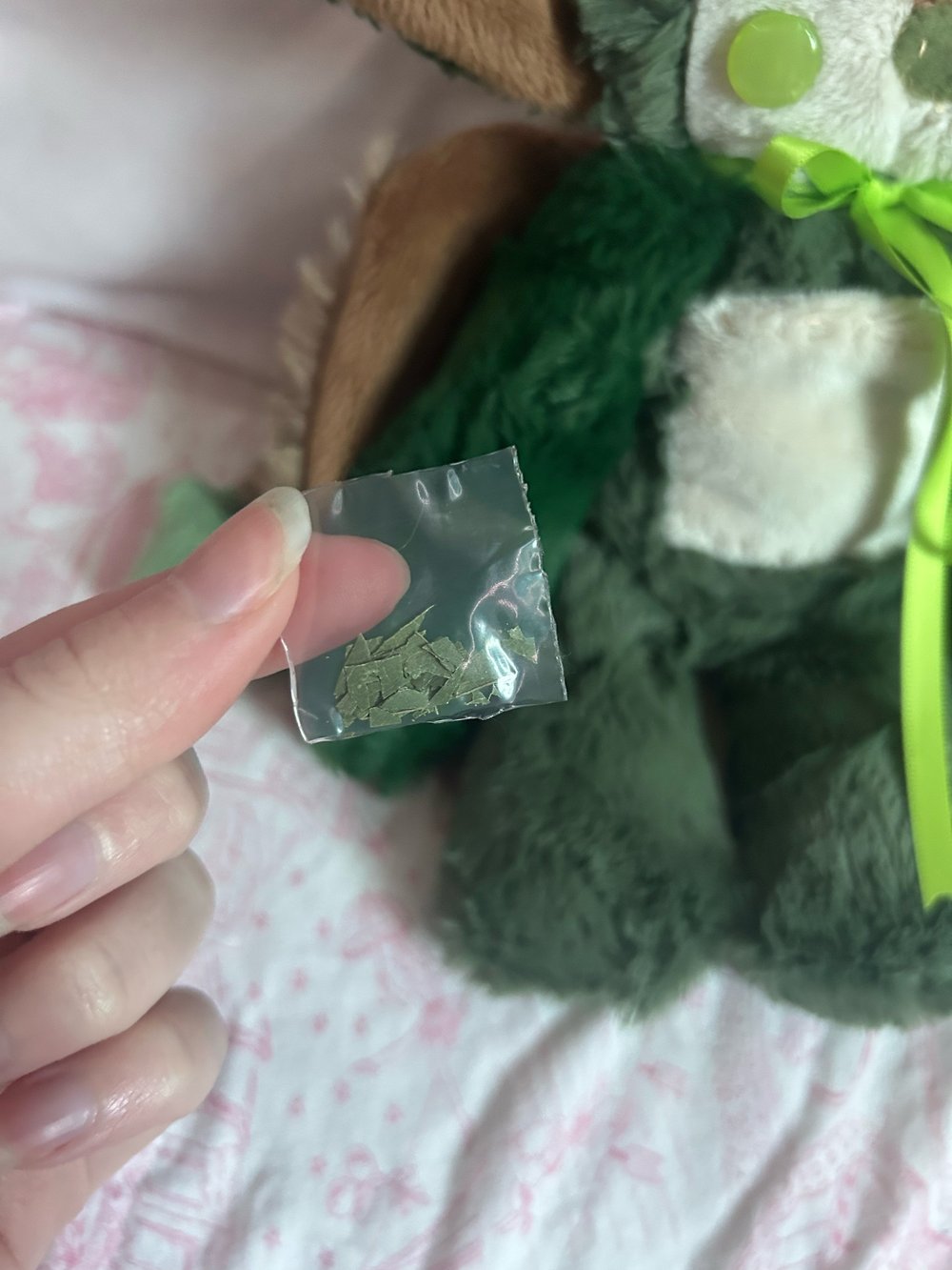 Image of mary the dragon 