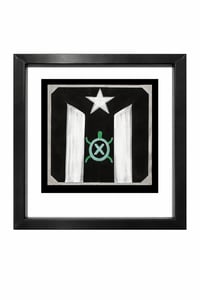 Image 1 of The Turtle over B & W