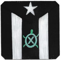 Image 2 of The Turtle over B & W