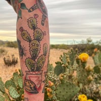 Image 13 of Traditional