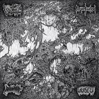 Image 1 of Oxalate / Perpetuated / Blood Spore / Vivisect Split CD