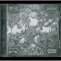 Image 2 of Oxalate / Perpetuated / Blood Spore / Vivisect Split CD