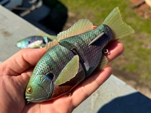 Image of 6” Ann Deluxe Xslowsink (Chameleon Male)
