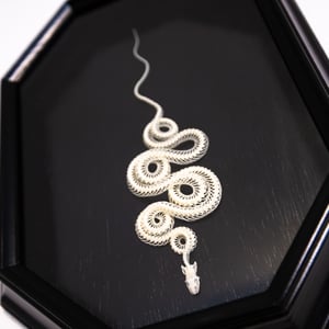 Image of Juvenile Corn Snake Skeleton 