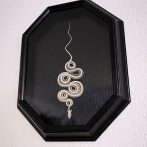 Image of Juvenile Corn Snake Skeleton 