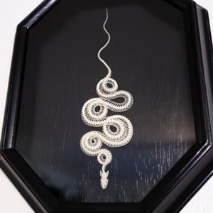 Image of Juvenile Corn Snake Skeleton