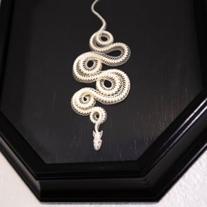 Image of Juvenile Corn Snake Skeleton