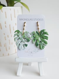 Image 4 of Albo Monsteras (L)