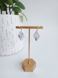 Image 1 of Warm Spring Cassies 