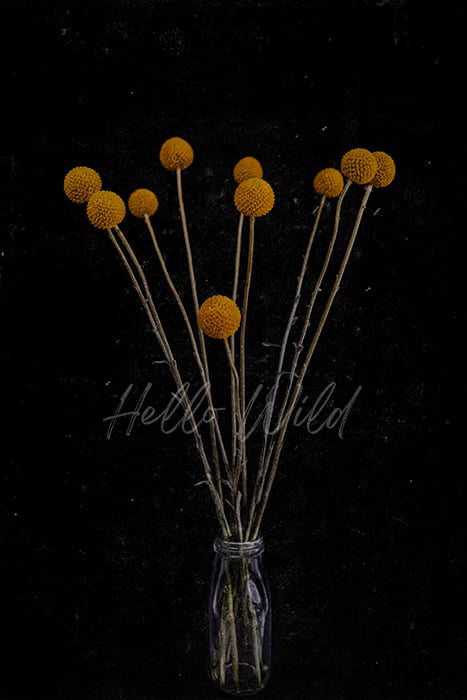 Image of What We Try To Keep 