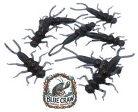 Image 16 of 2" Stonefly (8 Pack)