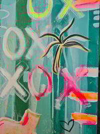 Image 4 of Lime Fiesta