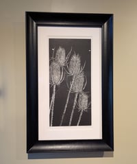 Image 1 of Along the Jordan River