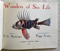 Image 2 of Wonders Of Sea Life a vintage Puffin Picture book