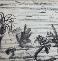 Image 5 of Wonders Of Sea Life a vintage Puffin Picture book