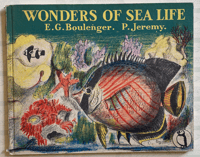 Image 1 of Wonders Of Sea Life a vintage Puffin Picture book
