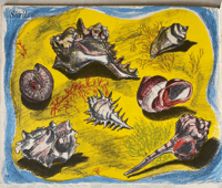 Image 3 of Wonders Of Sea Life a vintage Puffin Picture book