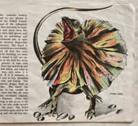 Image 3 of Wonders of Animal Life