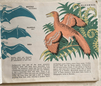 Image 3 of Extinct Animals by Hilary Stebbing