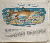 Image 4 of Extinct Animals by Hilary Stebbing