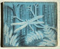 Image 6 of Extinct Animals by Hilary Stebbing