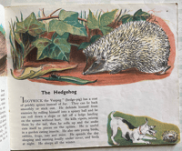 Image 2 of Animals of the Countryside by Arnrid Johnston