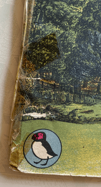 Image 2 of Trees in Britain S.R Badmin