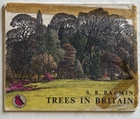 Image 3 of Trees in Britain S.R Badmin